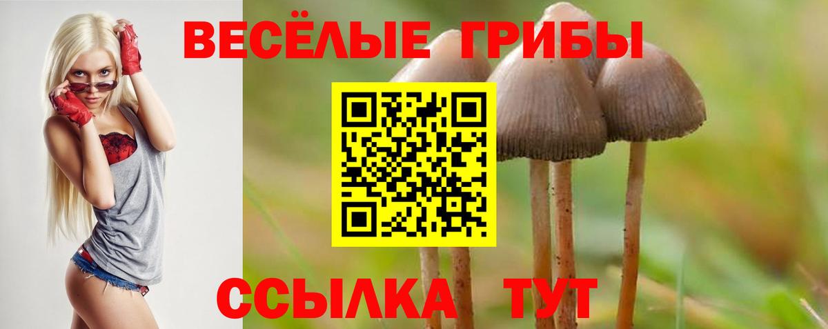 Алексин  Псилоцибиновые грибы ЛСД  Вход с VPN 